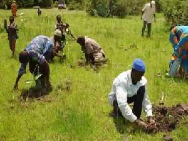Hunger looms in Nigeria due to killings of farmers – CAN